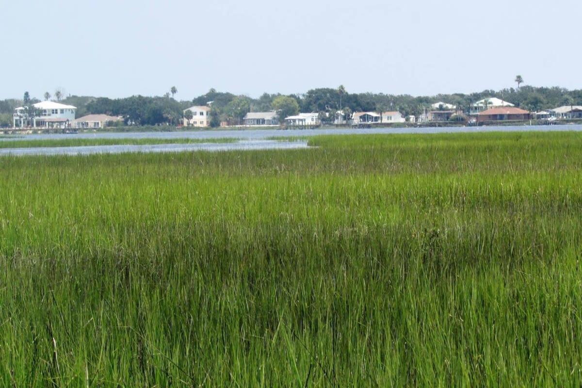 Canal Home Dock Walk To Beach Kayaks Sup Fishing Saint Augustine Exterior foto
